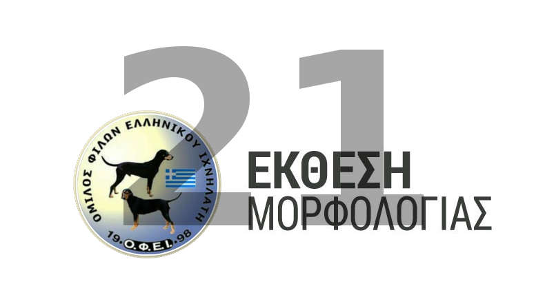 21 -ekthesi-morfologias